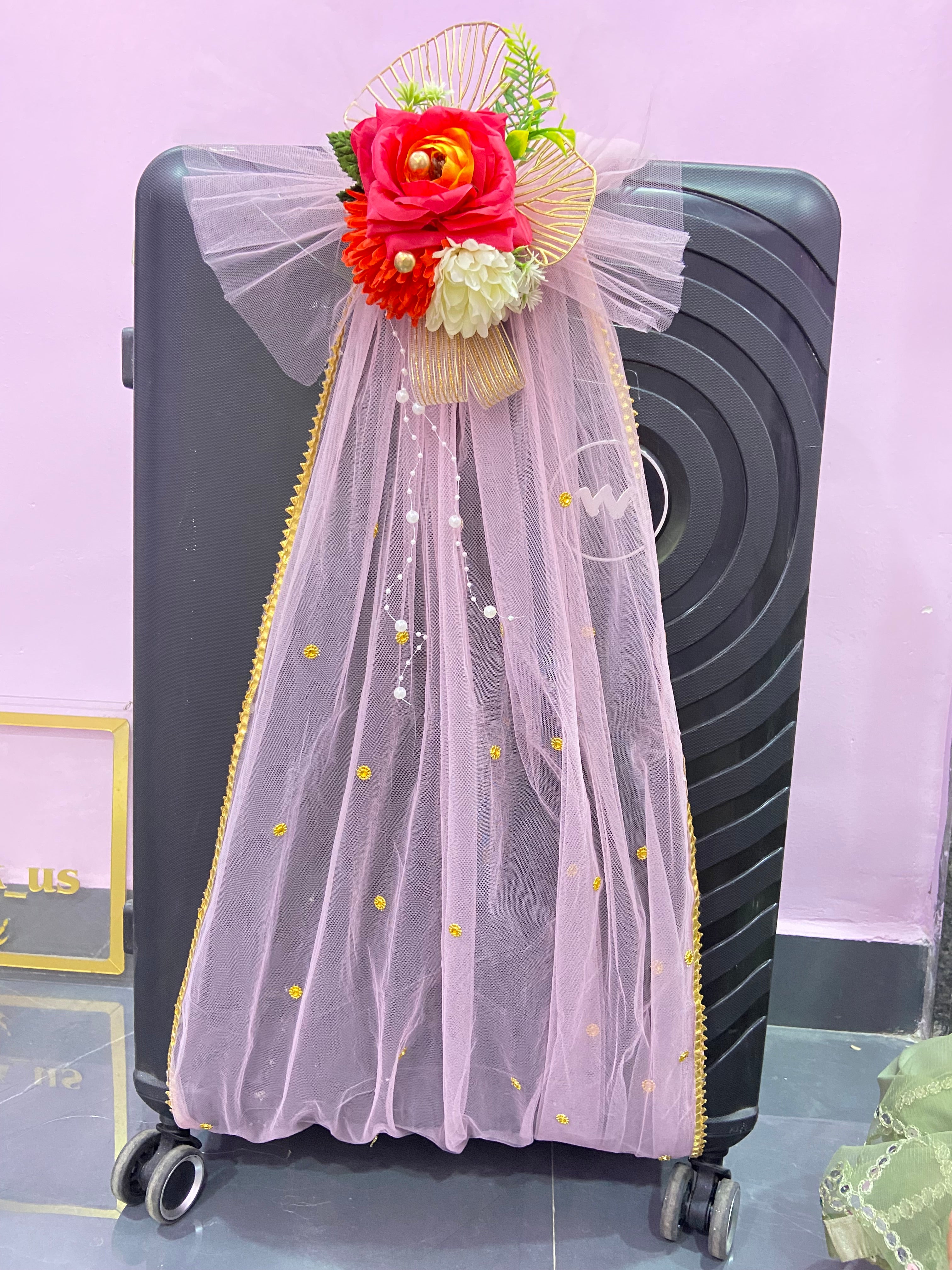 Suitcase Adjustable Band