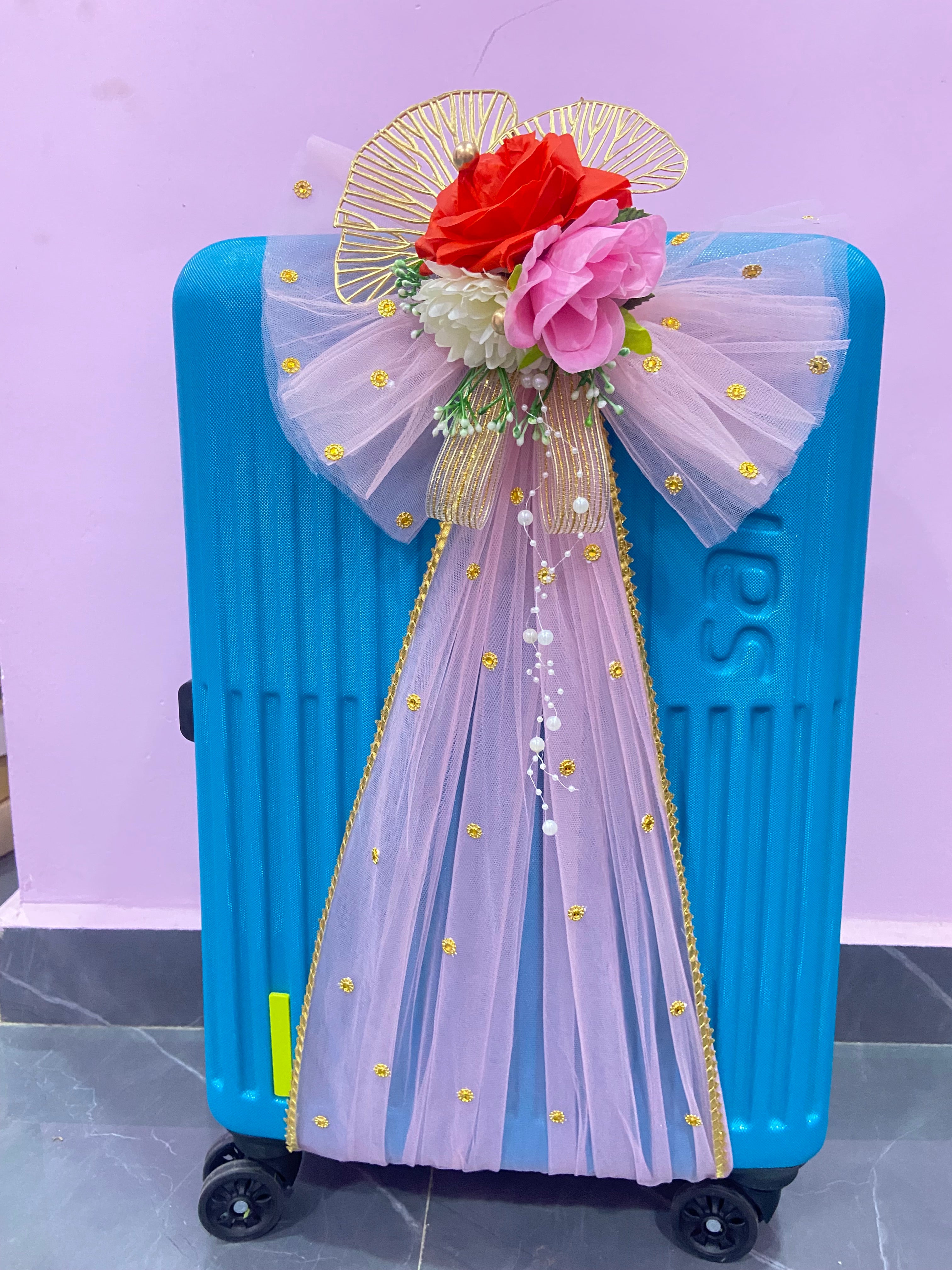 Suitcase Adjustable Band